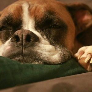 Meet your Posher, Tyler